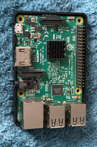 Raspberry model v1 - raspberry, pi