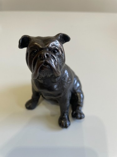 Bulldog sitting cold - bulldog,
