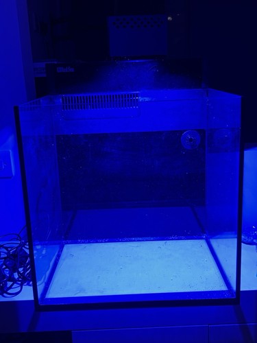 Red sea max - red, 75l/20