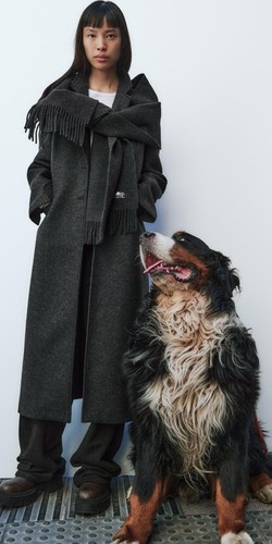 Zara collection charcoal grey - zara,