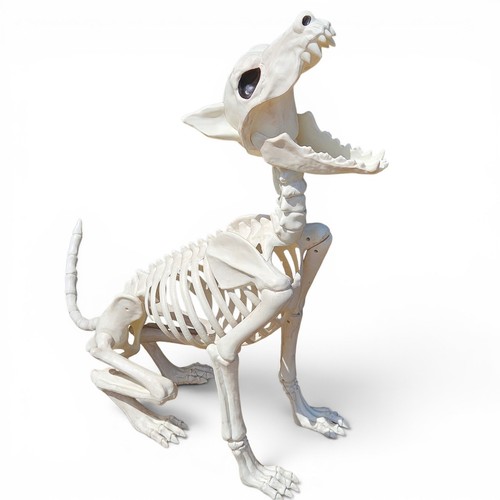 Large crazy bonez - large,