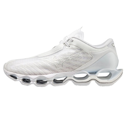 Mizuno wave prophecy new - 12,