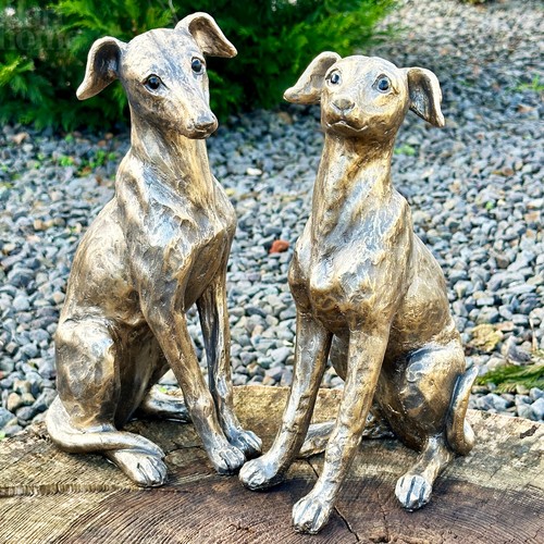 Set gold regal greyhound - gold,