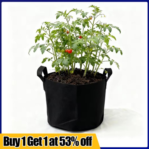 Pack large plant - 10, bags