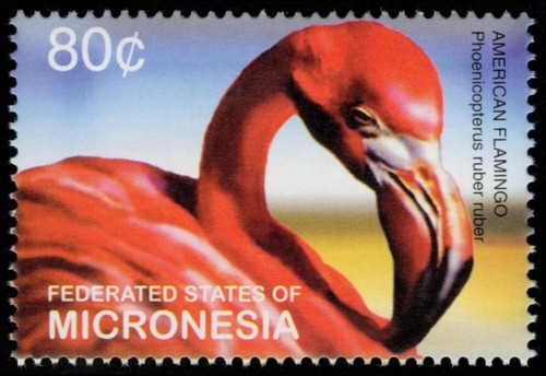 Micronesia 572b american - 572b,