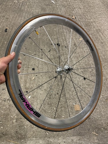 Shamal front wheel - front,