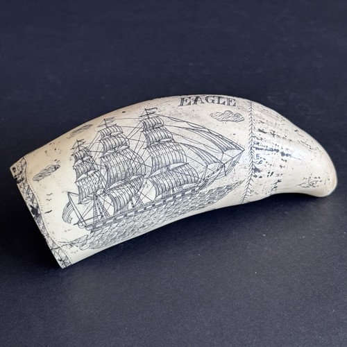 Vintage whale tooth - whale, scrimshaw
