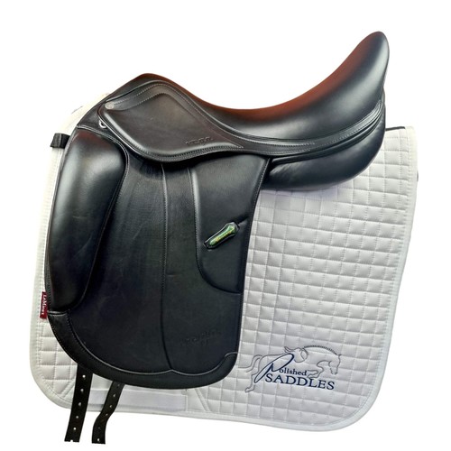 Amerigo vega siena special - amerigo,