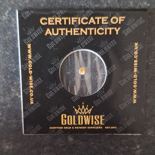 Scottish rare gold nuggets - gold,