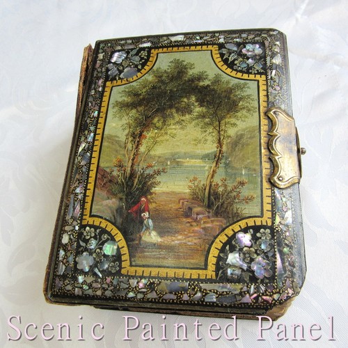 Victorian cdv album hand - cdv,