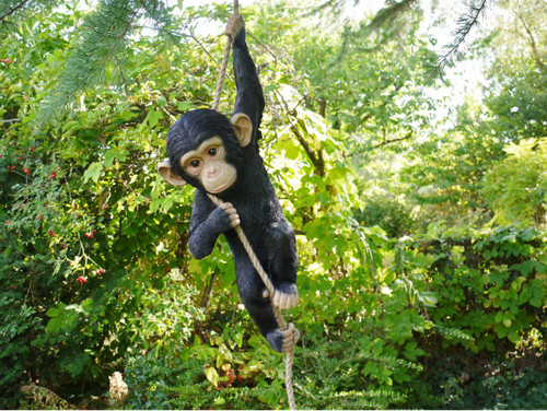 Climbing monkey tree - tree, hanging