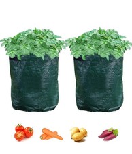 A Vegetable Grow Bags