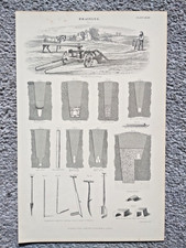 Examples of Agricultural