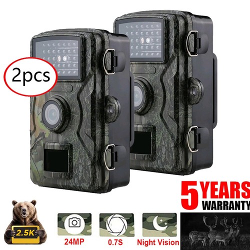 2pks 1440p hunting game trail - hunting,