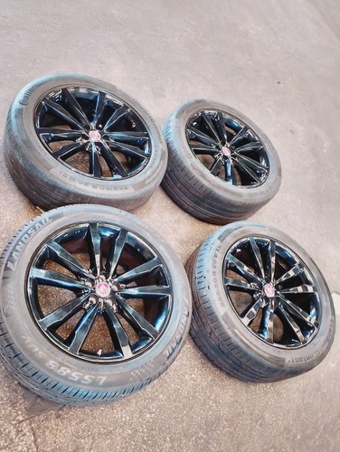 Jaguar pace venom alloy - venom,