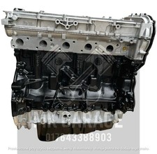 RANGER 3.2 GENERAL CHOLT