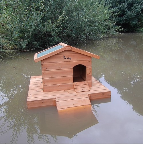 Duck house wooden - duck,