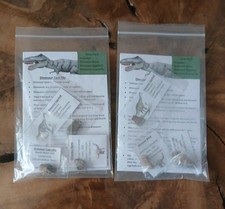 Fossil  Dinosaur Pack REAL