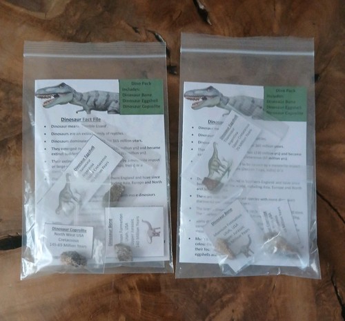Fossil dinosaur pack - fossil,
