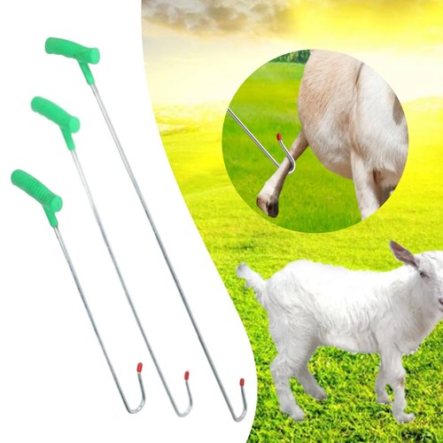 Sheep catching tool - tool,