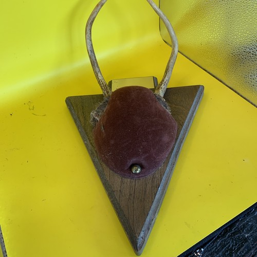 Deer horns mounted the - the, e-z