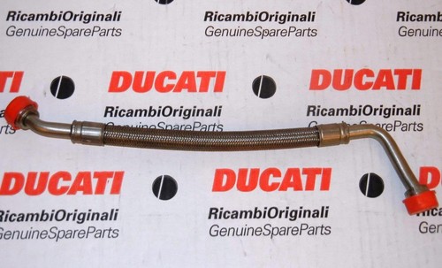 2001 ducati hailwood - ducati,