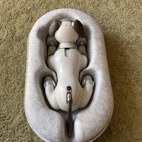 Aibo main unit ers1000 with - aibo,