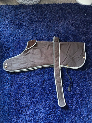 Dog coat for - dog, muddy