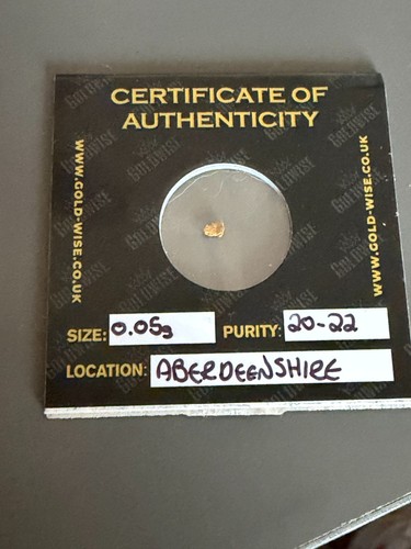 Goldwise gold nugget size - nugget,