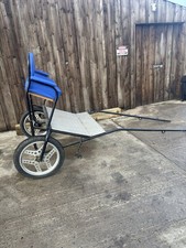 Horse / Pony Exercise Driving