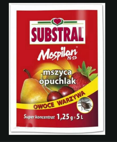 Bug killer aphis blackfly - bug,