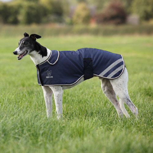 Digby fox waterproof - digby,