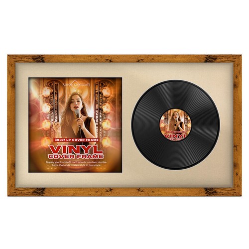 30x17 vinyl record album - vinyl,