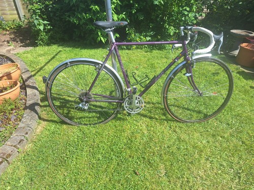 Dawes super galaxy - super, purple