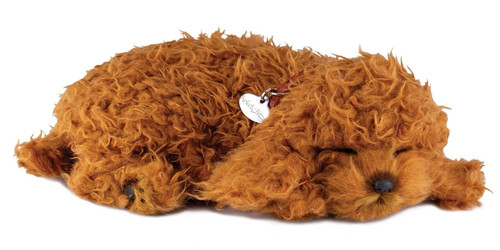 Toy poodle precious petzzz - toy,