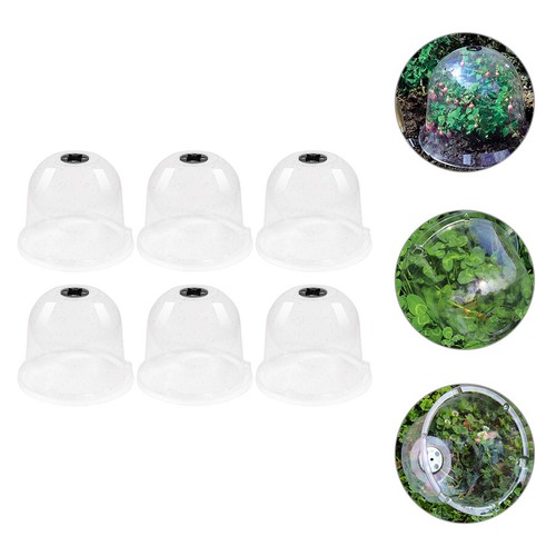 6pcs garden cloche dome - garden,