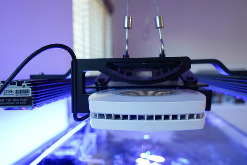 Prime led rms - prime,