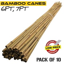 6FT 7FT Bamboo Canes Strong
