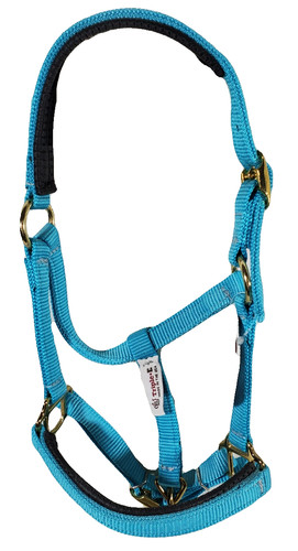 Miniature horse nylon halter - miniature,