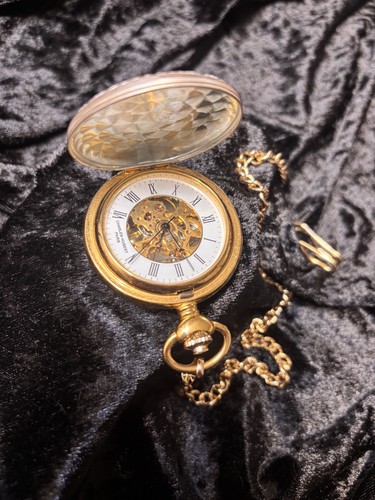 Gold plated demi hunter case - demi,