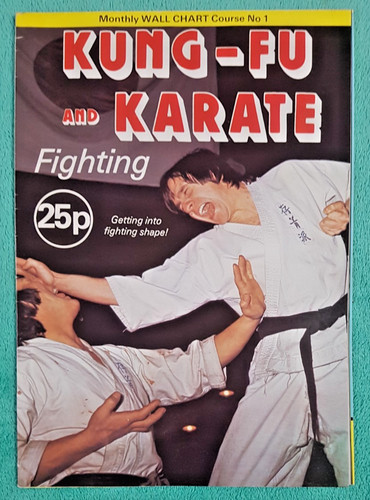 Kung and karate fighting - fighting,