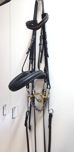 Dressage passier large horse - dressage,