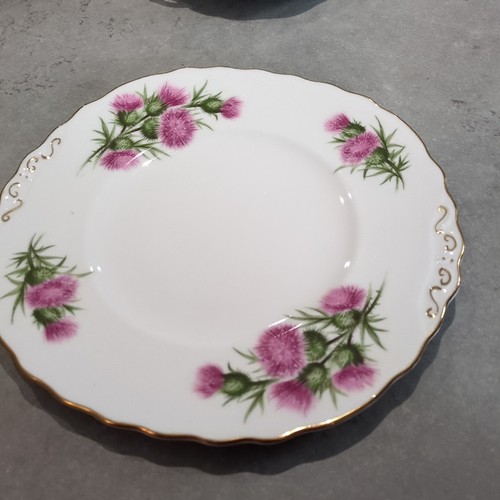 Colclough thistle bone - colclough, china