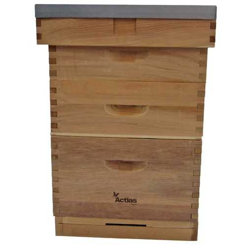 Langstroth beehive bee - beehive,