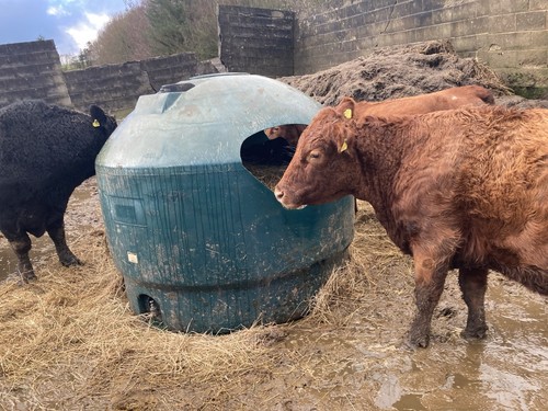 Round bale feeder for haylage - feeder,