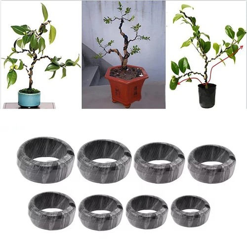 Aluminum bonsai wire - bonsai,