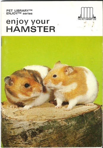 Land hermit crabs nash - hermit, by