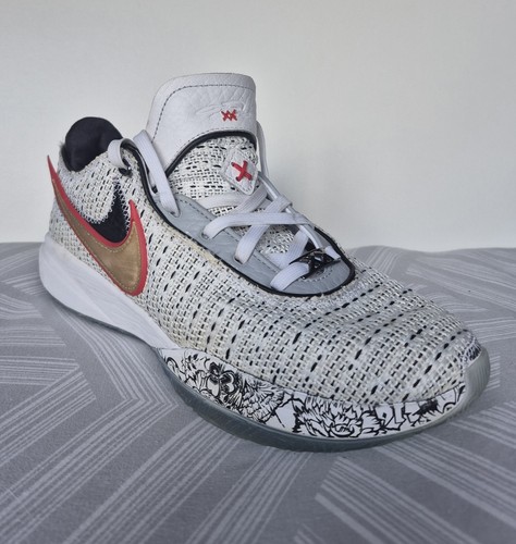 Nike lebron the debut - the,