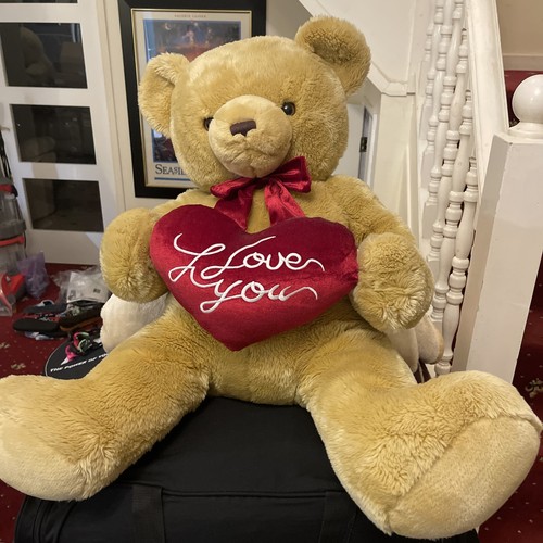 Extra large beige teddy - extra, bear