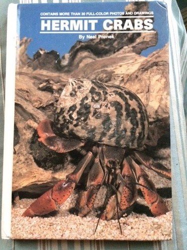 Land hermit crabs - land, neal